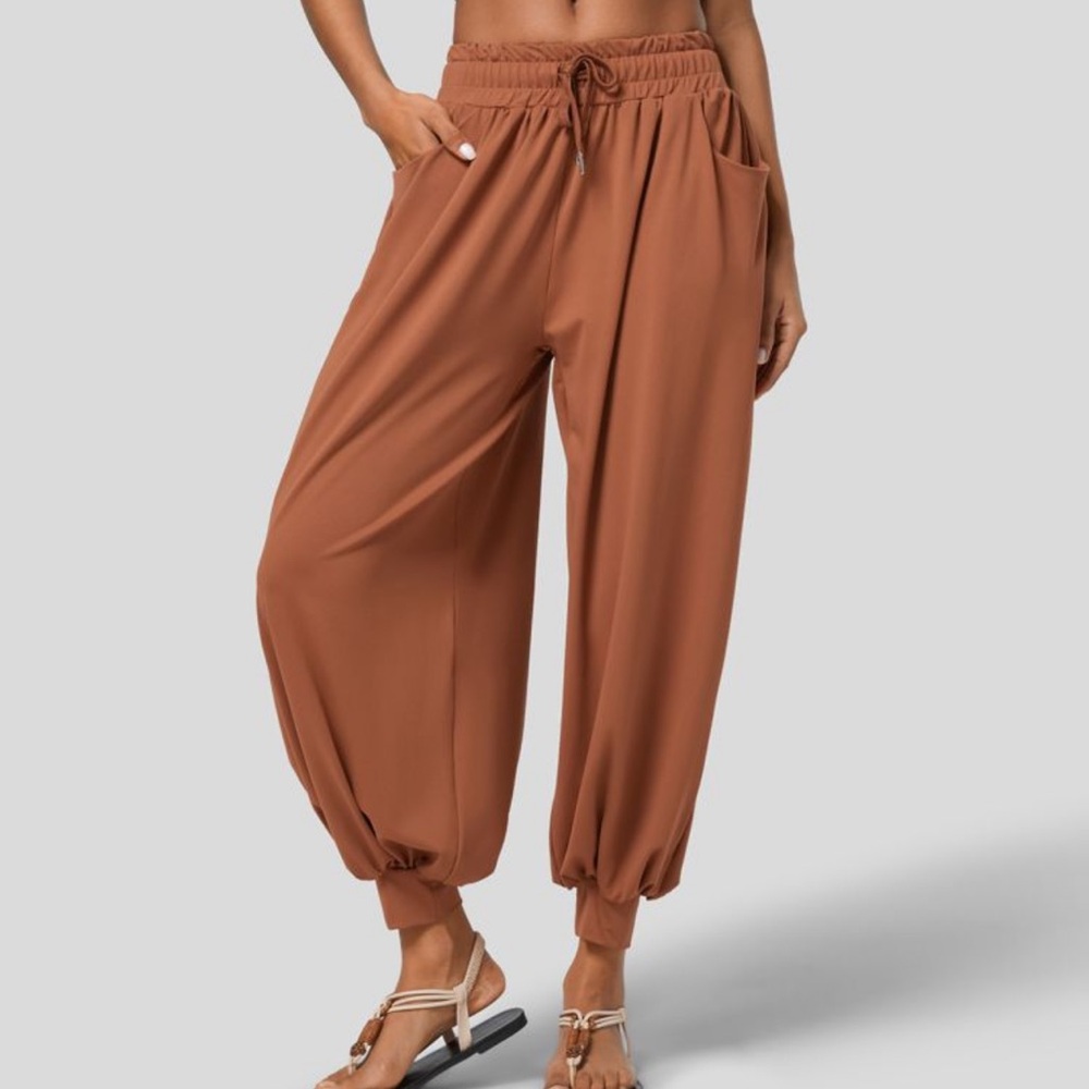 Halara pants L